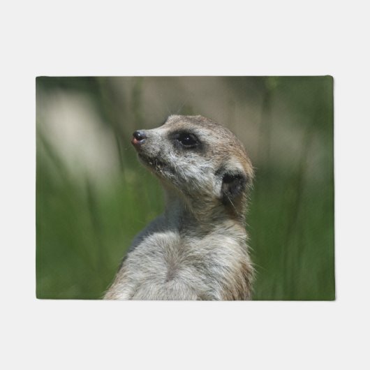 Meerkat 015 deurmat (Voorkant)