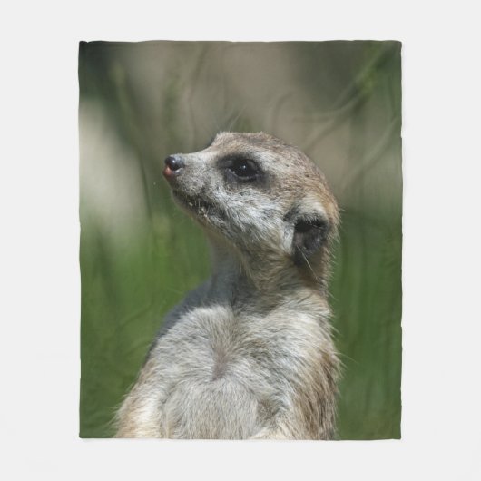 Meerkat 015 fleece deken (Voorkant)
