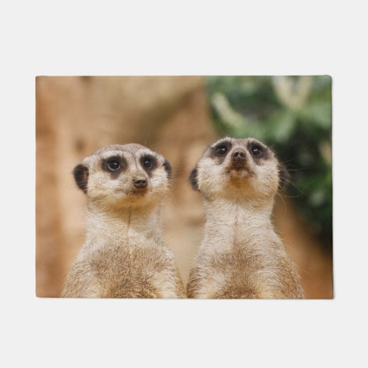 Meerkat 017 deurmat (Voorkant)