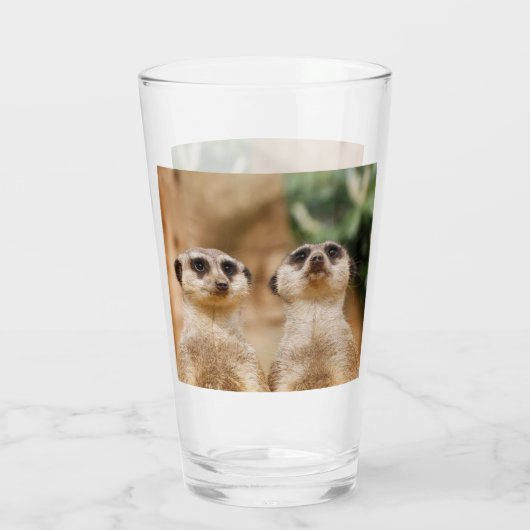 Meerkat 017 glas (Achterkant)