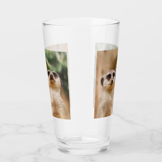Meerkat 017 glas (Rechts)