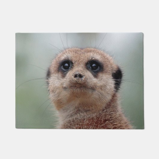 Meerkat 020 deurmat (Voorkant)