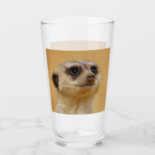 Meerkat 020 glas