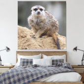 Meerkat 021 canvas afdruk (Insitu (Slaapkamer))