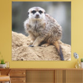 Meerkat 021 canvas afdruk (Insitu (Woonkamer))