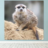 Meerkat 021 canvas afdruk (Insitu (Houten vloer))