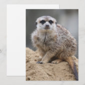 Meerkat 021 feestdagenkaart (Voorkant / Achterkant)