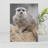 Meerkat 021 feestdagenkaart (Staand voorkant)