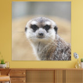 Meerkat 022 canvas afdruk (Insitu (Woonkamer))