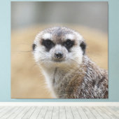 Meerkat 022 canvas afdruk (Insitu (Houten vloer))