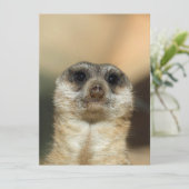 Meerkat 023 feestdagenkaart (Staand voorkant)