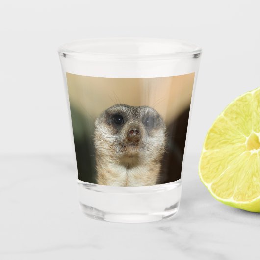 Meerkat 023 shot glas (Voorkant)