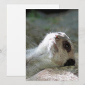 Meerkat 024 feestdagenkaart (Voorkant / Achterkant)