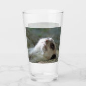 Meerkat 024 glas (Voorkant)
