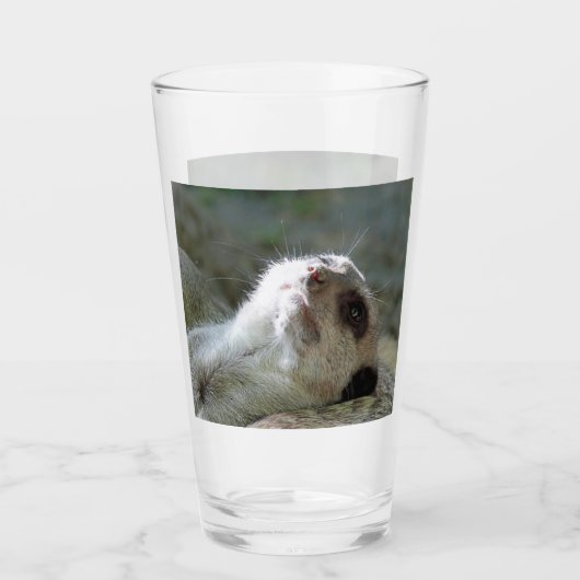 Meerkat 024 glas (Voorkant)