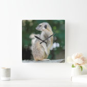 Meerkat 025 vierkante klok (Huis)