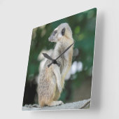 Meerkat 025 vierkante klok (Hoek)