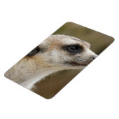 Meerkat 028 magneet (Linkerzijde)
