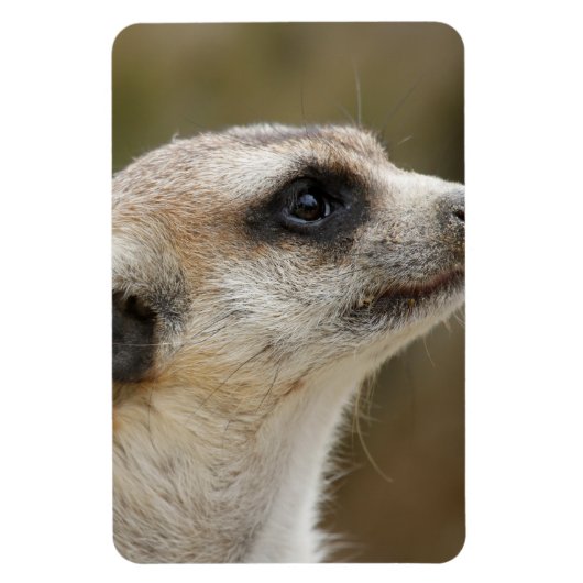 Meerkat 028 magneet (Verticaal)
