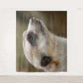 Meerkat 028 wandkleed (Voorkant)