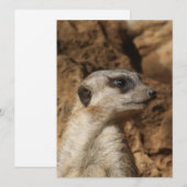 Meerkat 029 feestdagenkaart (Voorkant / Achterkant)