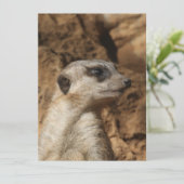 Meerkat 029 feestdagenkaart (Staand voorkant)