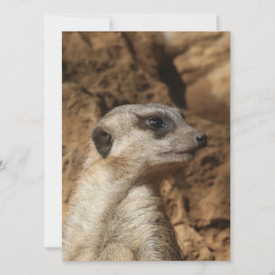 Meerkat 029 feestdagenkaart