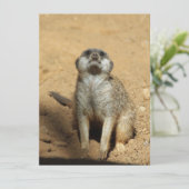 Meerkat 031 feestdagenkaart (Staand voorkant)