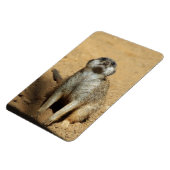 Meerkat 031 magneet (Linkerzijde)