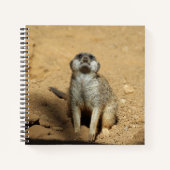 Meerkat 031 notitieboek (Voorkant)