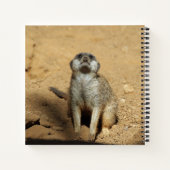 Meerkat 031 notitieboek (Achterkant)