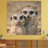 Meerkat 033 canvas afdruk (Insitu (Woonkamer))