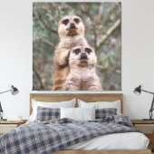 Meerkat 035 canvas afdruk (Insitu (Slaapkamer))