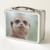 Meerkat 036 (Achterkant)