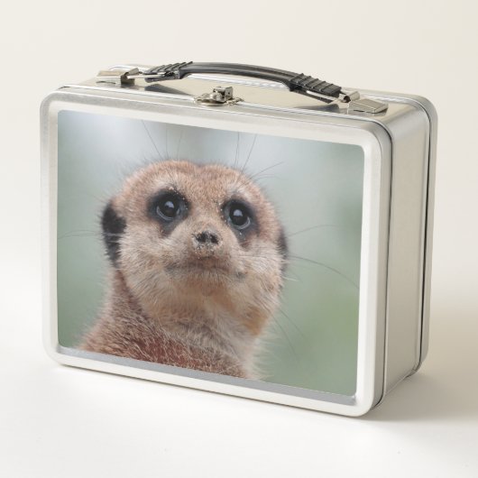 Meerkat 036 (Voorkant)
