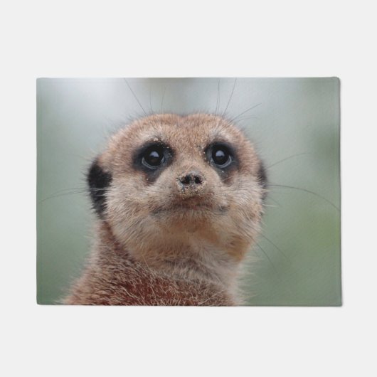 Meerkat 036 deurmat (Voorkant)
