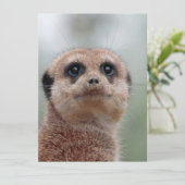 Meerkat 036 feestdagenkaart (Staand voorkant)