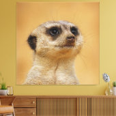 Meerkat 037 canvas afdruk (Insitu (Woonkamer))