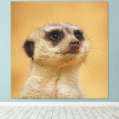 Meerkat 037 canvas afdruk (Insitu (Houten vloer))