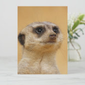Meerkat 037 feestdagenkaart (Staand voorkant)