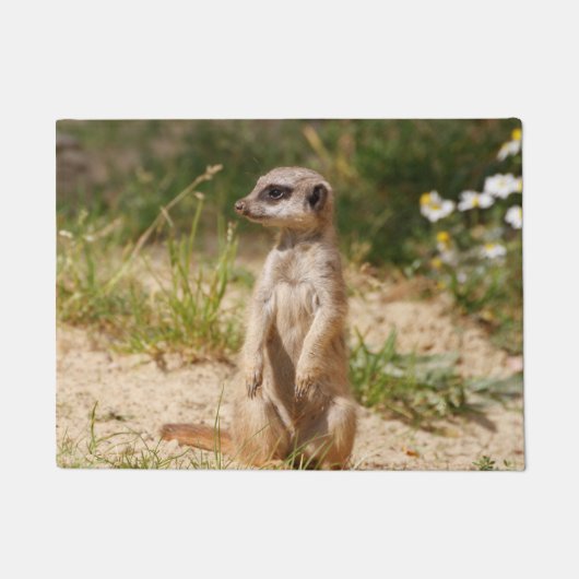 Meerkat 038 deurmat (Voorkant)