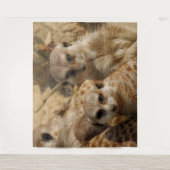 Meerkat 039 wandkleed (Voorkant)