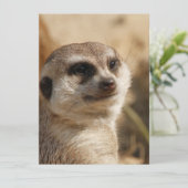 Meerkat 041 feestdagenkaart (Staand voorkant)