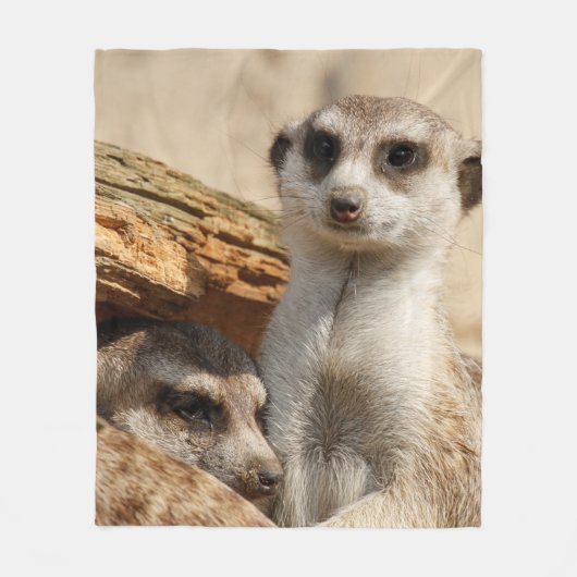 Meerkat 042 fleece deken (Voorkant)
