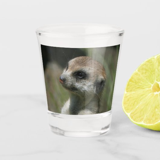 Meerkat 043 shot glas (Voorkant)