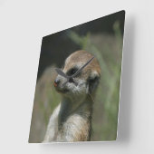 Meerkat 043 vierkante klok (Hoek)
