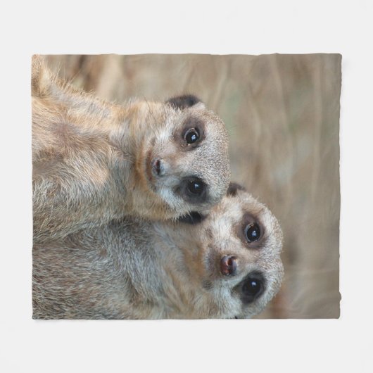 Meerkat 047 fleece deken (Voorkant (Horizontaal))