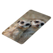 Meerkat 047 magneet (Linkerzijde)