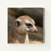 Meerkat 048 notitieboek (Achterkant)