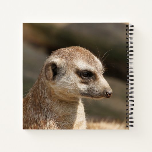 Meerkat 048 notitieboek (Achterkant)